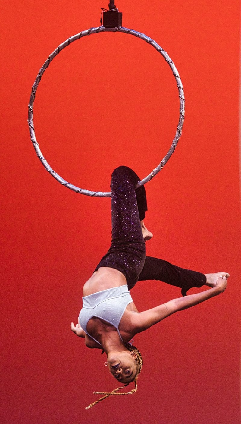 Aerial Hoop